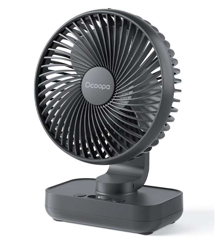 Fan D606Y